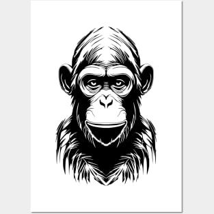 Chimpanzee Posters and Art